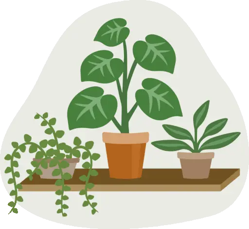 Indoor Planting GIF